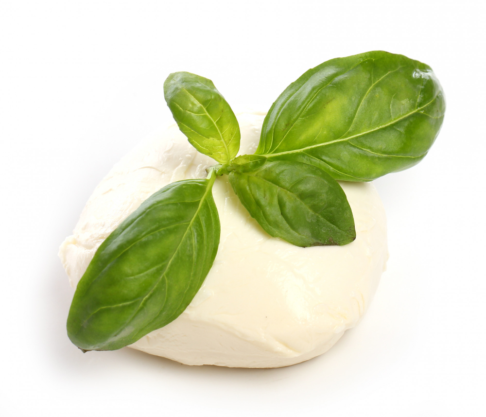 Mozzarella : la star de la cuisine italienne